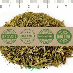 Organic LADY’S MANTLE Herb Tea Dried Alchemilla Vulgaris Wild Harvest 25 – 200g