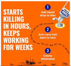 TERRO Liquid Ant Killer ll T200, 2 oz