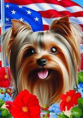 Silky Terrier Silver/Tan All-American Patriotic 1 Flag
