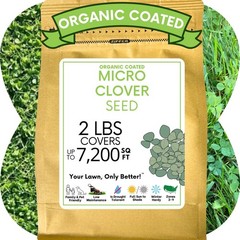 Micro Clover Seed, Organic Coated, Eco-Friendly, Low Growing, Low Maintenance