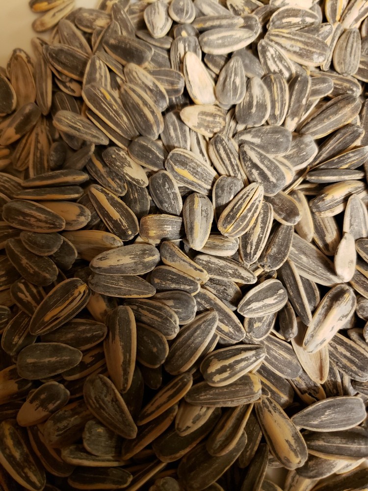 SUNFLOWER SEEDS ..JUMBO.. in Shell Roasted and Salted Grown to Organic Standards