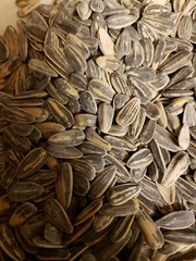 SUNFLOWER SEEDS ..JUMBO.. in Shell Roasted and Salted Grown to Organic Standards
