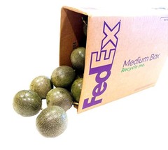 Tropibelle Passion Fruit 5 lb Fresh Sweet Juicy – No. 2s