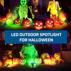 DEWENWILS 400 lm Outdoor Spotlight Christmas LED Landscape Flag Floodlight