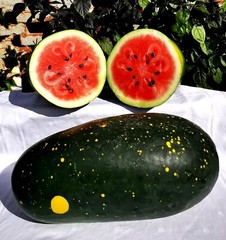 Red Moon and Stars Watermelon Seeds, Very Sweet, NON-GMO, Heirloom, FREE SHIP