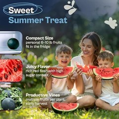 75 Sugar Baby Watermelon Seeds for Planting (Citrullus Watermelon Sugar Baby