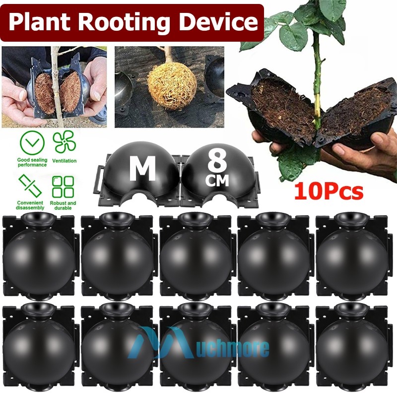 10pcs 8cm Plant Rooting Grow Box High Pressure Propagation Ball Air Layering Pod