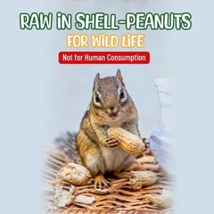 Snaky Mango Raw Peanuts in Shell – 1 Pounds – All-Natural Food for Squirrels,…