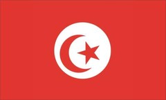 TUNISIA COUNTRY FLAG GLOSSY POSTER PICTURE PHOTO tunis sfax nabeul sousse 1843