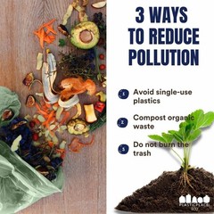 Plasticplace 20-30 Gallon Clear Compostable Trash Bags, 1.0 Mil, (75 Count)