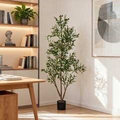 NOVAROOT 6FT Tall Faux Olive Artificial Plants Indoor Faux Natural Wood Trunk