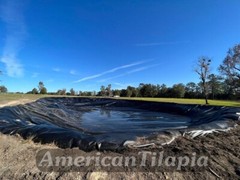 Pond liner 100×80 Strong,HDRPE 40 year Durability,Commercial grade for Fish pond