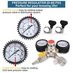 CO2 Regulator Draft Beer Regulator 60PSI Output Pressure Dual Stages Kegerato…