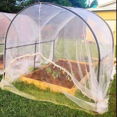 20~50ft Mosquito Garden Bug Insect Netting Barrier Bird Net Plant Protect Mesh