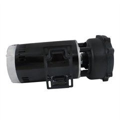 Executive 56-Frame 4HP Dual-Speed Spa Pump, 2in Intake, 2in Discharge