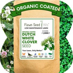 Dutch White Clover Seed, Organic Coated, Eco-Friendly, Low Maintenance
