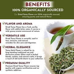 Organic Way Dried Tansy Flower Herb Tea | Origin – Albania (2 Oz)
