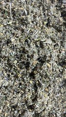 Elderflower Skullcap Passionflower Wild Lettuce Catnip Marshmallow Mullein no.76