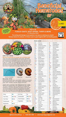 Beneficial Nematodes SF Steinernema Feltiae – 50 Million