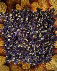 Blue Mallow Petals or Flowers Wild Harvested Dried Herbal Tea Malva Sylvestris