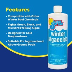 In The Swim Winter Algaecide for Swimming Pools – Winterizing Pool Algaecide