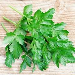 Italian Dark Green Parsley Seeds | Heirloom / Non-GMO | Free Shipping | 1135