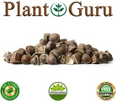 Moringa Oleifera Seeds 1 oz. Each WINGLESS & SHELLED Fresh Semillas De Moringa