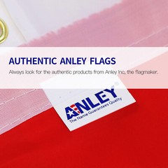 Anley Fly Breeze 3×5 Ft Viva Mexico Flag – Mexico Eagle Mexican MX National Flag