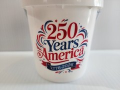 America 250 Mini Bucket Available in Red, White, Blue 9 Different Logos Lowe’s