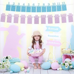 14PCS 30th Birthday Photo Banner Decorations from 1 to 12 Months Kraft Paper