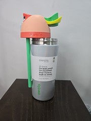 Owala Freesip Stainless Steel Water Bottle / 16oz / Color: Opal Dream