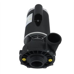 Executive 56-Frame 4HP Dual-Speed Spa Pump, 2in Intake, 2in Discharge