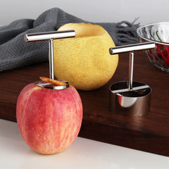 Fruit Corer Removal Tool Remover Fruits Pear Pitter and Vegetable Extractor US