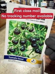 Black Cherry Tomato Seeds Heirloom Non GMO Sweet Juicy Garden Planting 50 Seeds