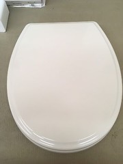 Porcher 71920-00.071 Luxury ROUND FRONT Slow Close Toilet Seat, Biscuit