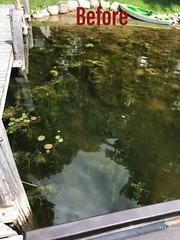 Beachroller – Lake Weeds and Muck Gone! SCRATCH & DENT SALE- SAVE $$$$!!