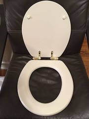 Porcher 70122-00.071 Round Front Toilet Seat BISCUIT with Polished Brass Hinges