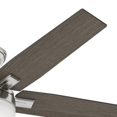Hunter Fan 52 inch Contemporary Brushed Nickel Ceiling Fan with Remote and Light
