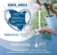 Waterdrop D6 Reverse Osmosis System,Tankless, 600 GPD-Certified Refurbished