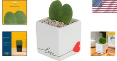Easy-Care Hoya Heart Houseplant, Perfect Gift Idea*`/-$