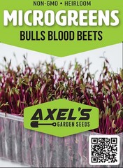 Bulls Blood Beet MICROGREEN Seeds | NON-GMO | Heirloom | Seeds for Sprouting