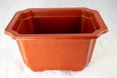 Rectangular Plastic Cactus & Succulent, Bonsai Training Tall Pot 7.25″ to 17.5″