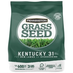 Kentucky 31 Tall Fescue Penkoted Grass Seed 3 Lb