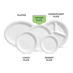 Chinet Classic White 10-3/8″ Dinner Plates (165 ct.) FREE SHIPPING