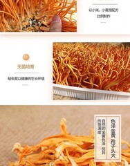 500g Premium Chinese Wild Mushroom Cordyceps Chong Cao Hua Herbal Brew Tea