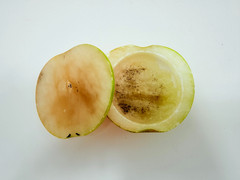 Antique Italian Alabaster Stone Half Apple w/ Wedge Slice Trinket Bowl Sculpture