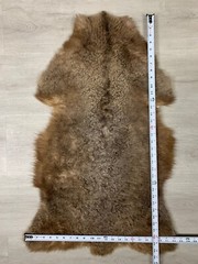 Real Tibetan Sheepskin Rug | Luxurious Natural Fur Accent for Any Room Accent