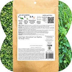 Micro Clover Seed, Organic Coated, Eco-Friendly, Low Growing, Low Maintenance