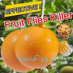Bug Fruit Fly Traps Sticky Ball Fungus Gnat Pest Control Ball for Indoor Outdoor