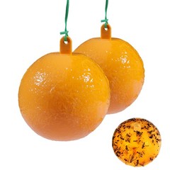 Bug Fruit Fly Traps Sticky Ball Fungus Gnat Pest Control Ball for Indoor Outdoor